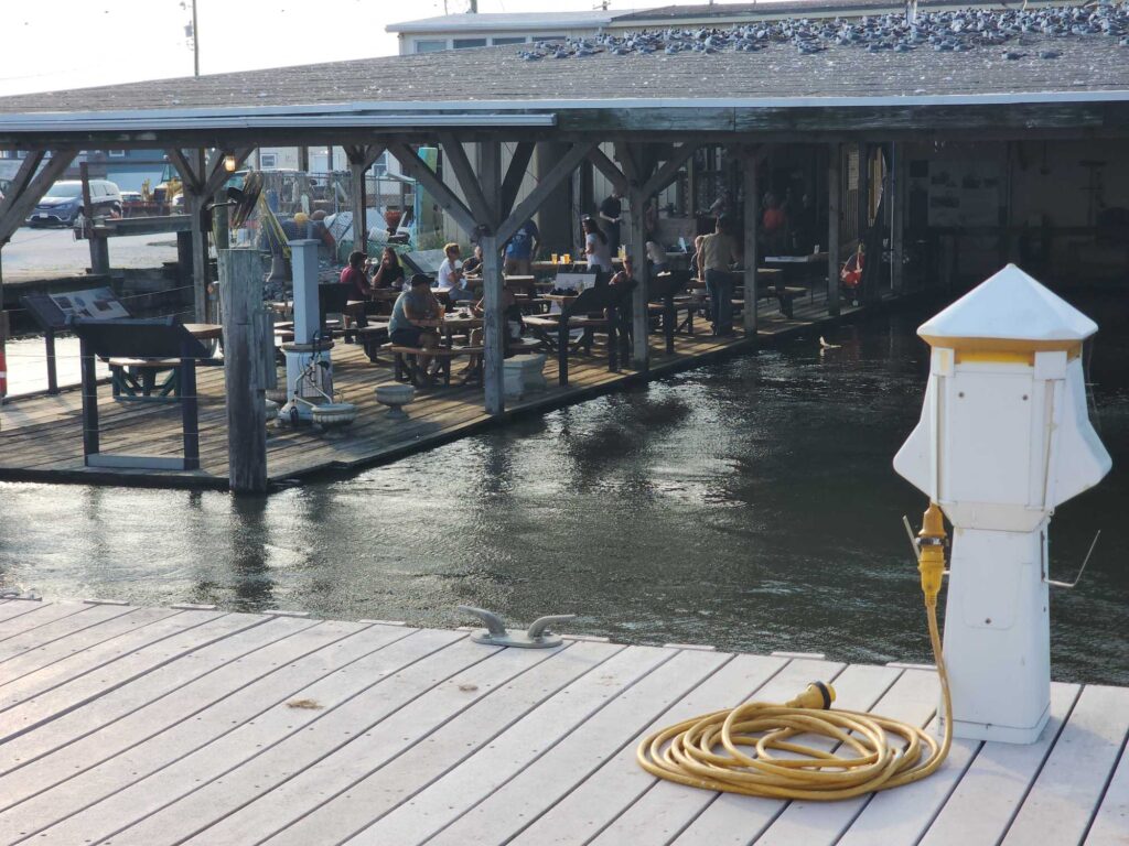 a group of people on a dock (MyCoast AI)