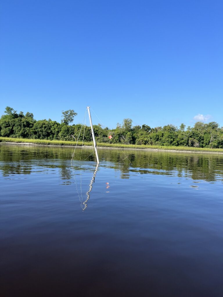 a body of water with trees in the background (MyCoast AI)