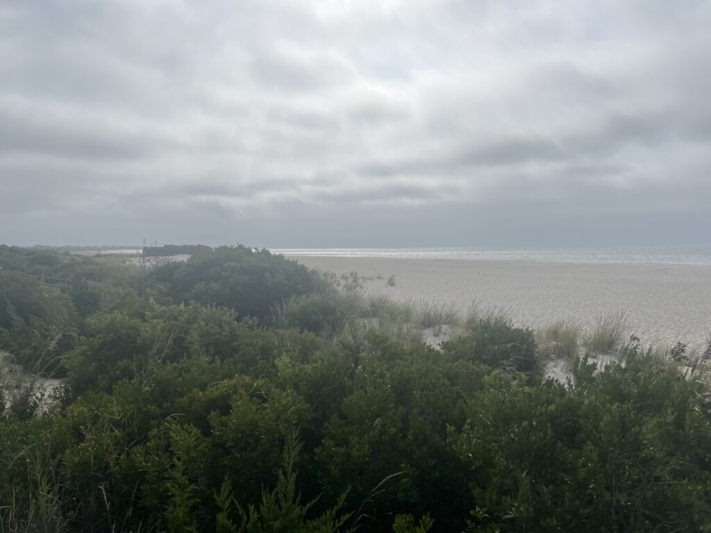 a body of water with trees around it (MyCoast AI)