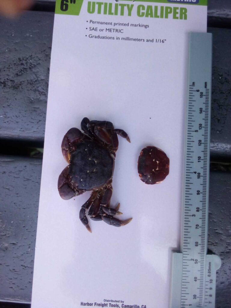 a book with a picture of a spider on it (MyCoast AI)