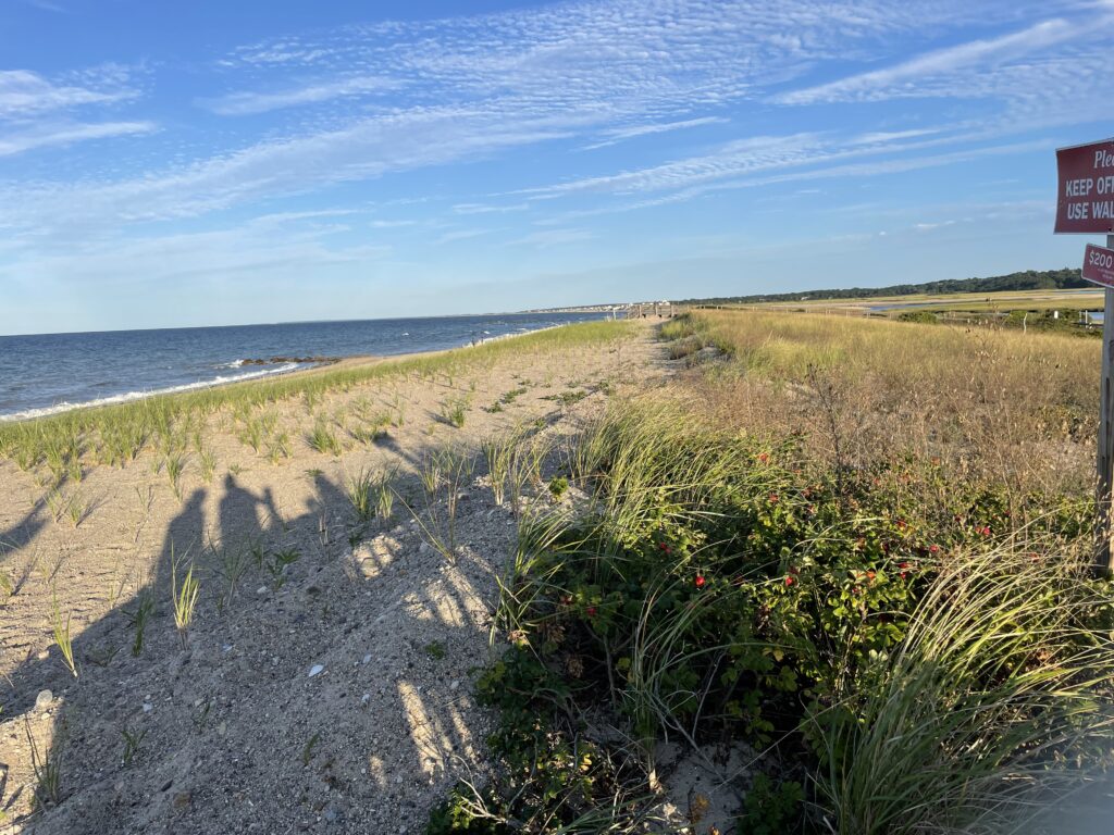 a dirt road next to a beach (MyCoast AI)