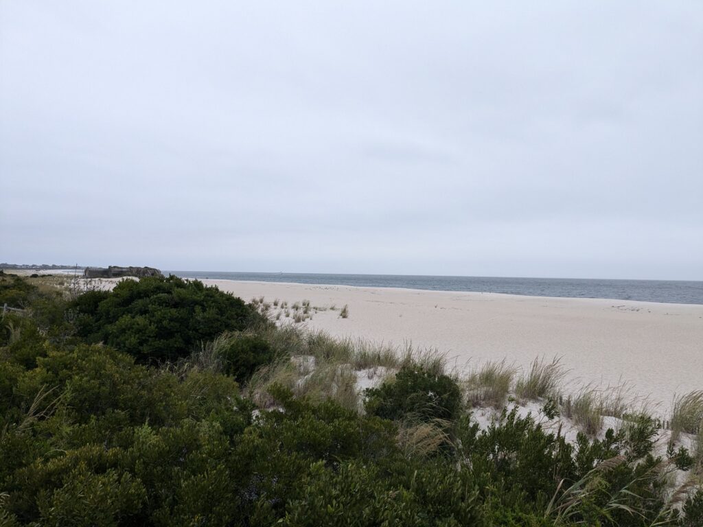 a beach with trees and bushes (MyCoast AI)