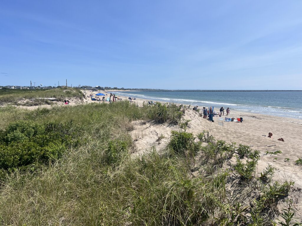 a group of people on a beach (MyCoast AI)