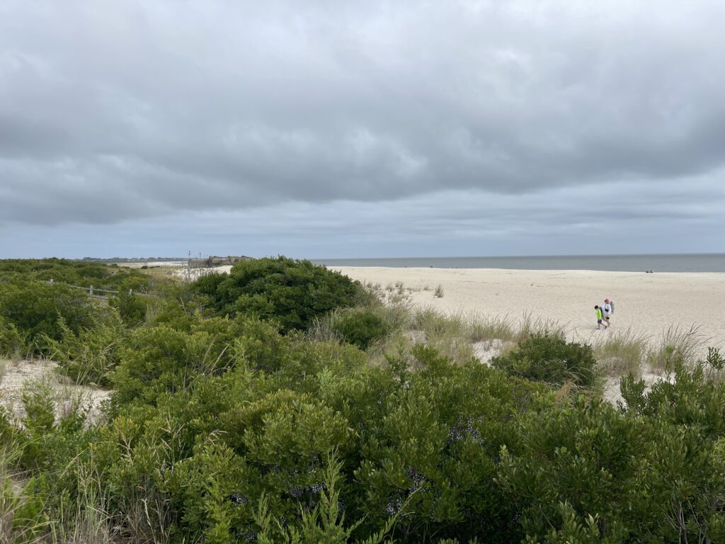 a couple people walking on a beach (MyCoast AI)
