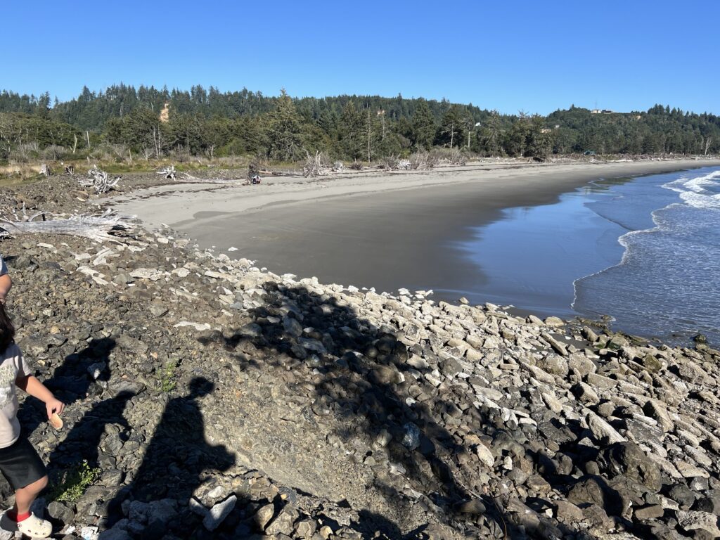 a rocky beach with a body of water and trees in the background (MyCoast AI)