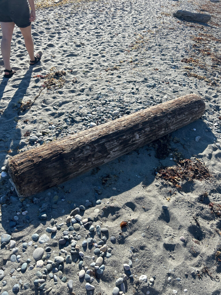 a wooden bench on a beach (MyCoast AI)