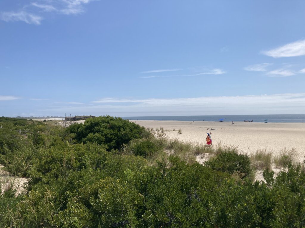 a person standing on a beach (MyCoast AI)