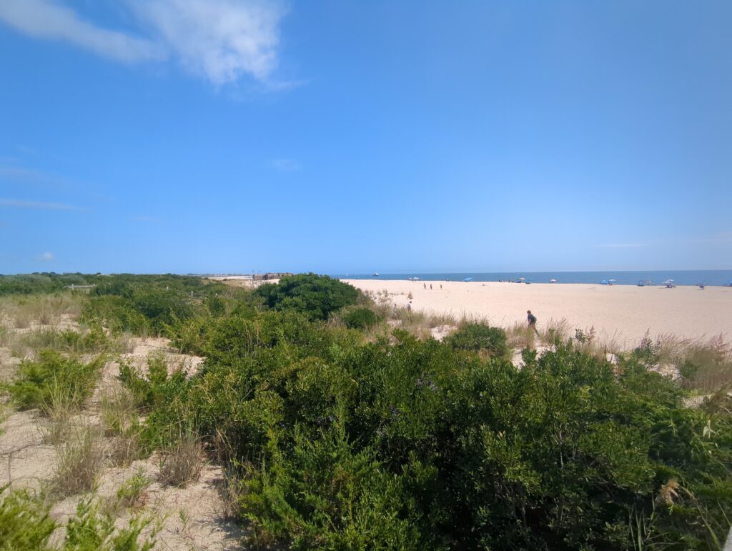 a landscape with trees and bushes (MyCoast AI)