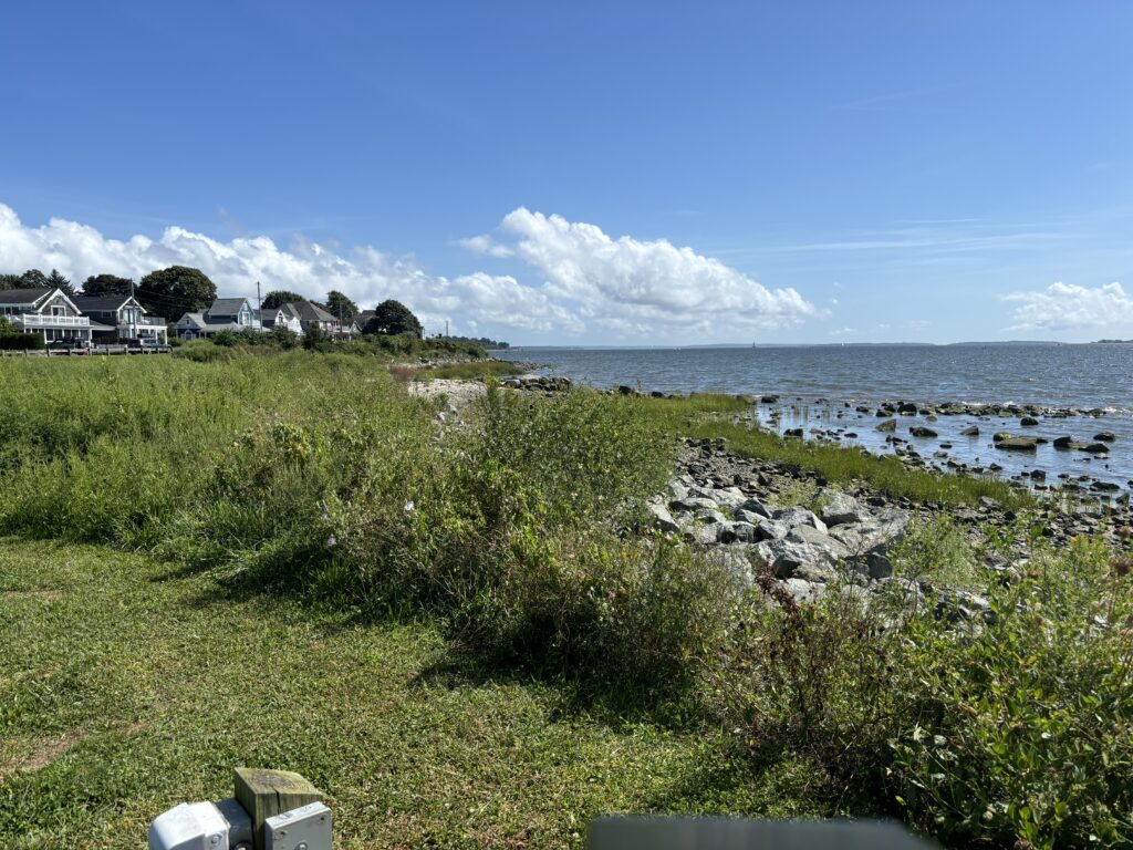 a grassy area next to a body of water (MyCoast AI)