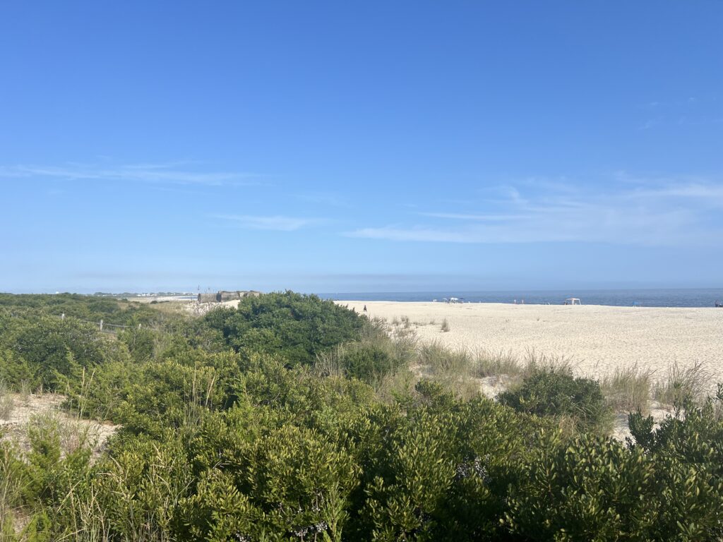 a landscape with trees and bushes (MyCoast AI)