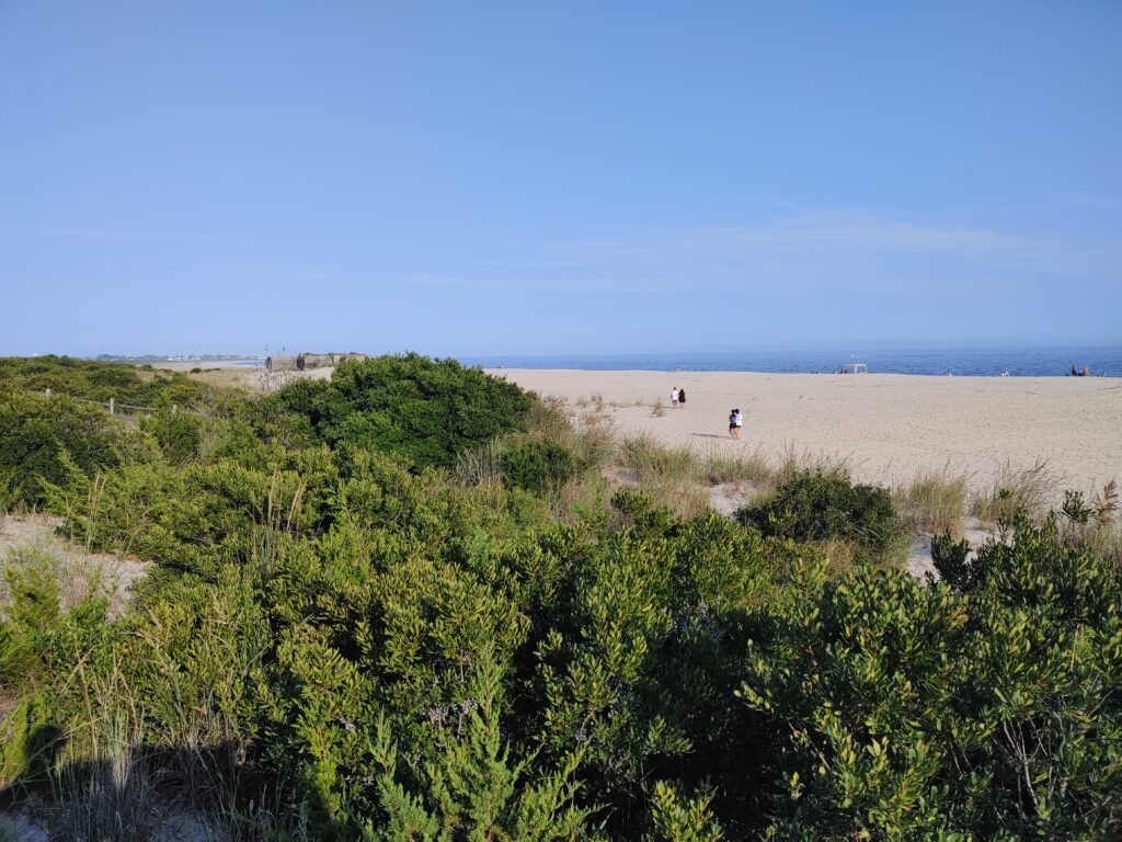 a group of people walking through a field of green plants (MyCoast AI)