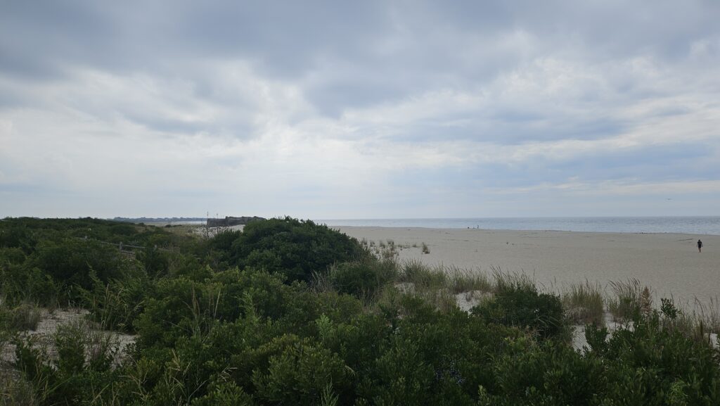 a beach with trees and bushes (MyCoast AI)