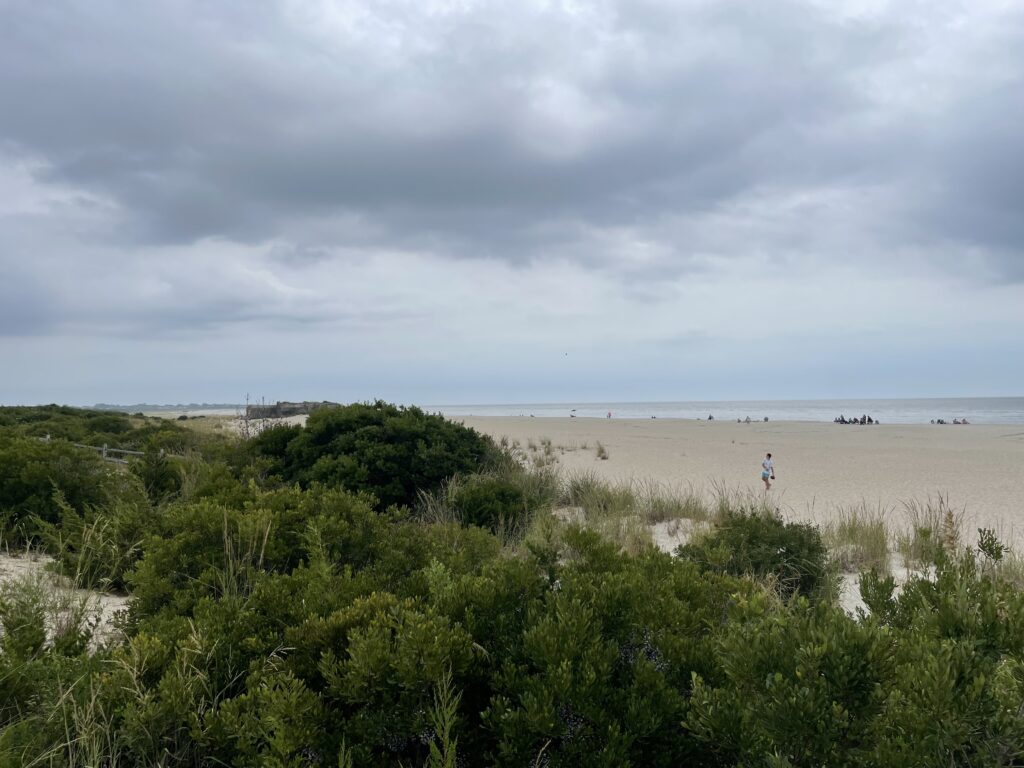 a person walking on a beach (MyCoast AI)