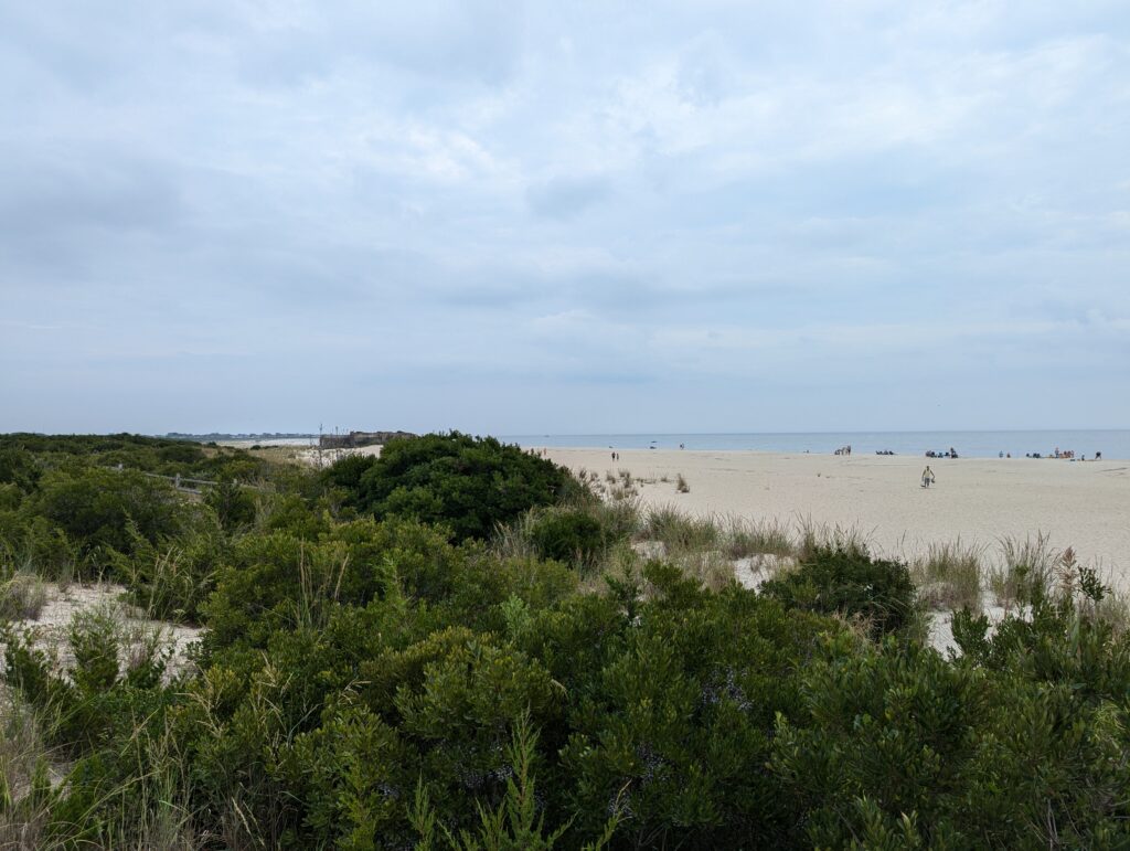 a beach with bushes and trees (MyCoast AI)
