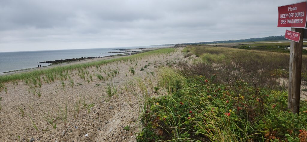 a beach with plants and a sign (MyCoast AI)