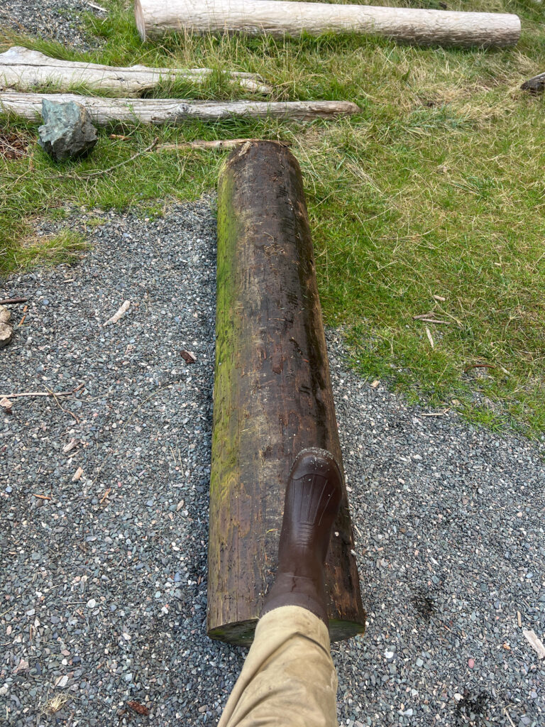 a person holding a log (MyCoast AI)