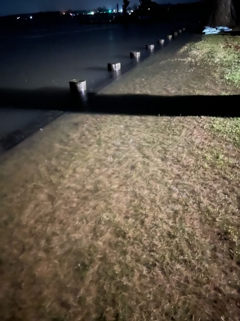a view of a river and some grass (MyCoast AI)