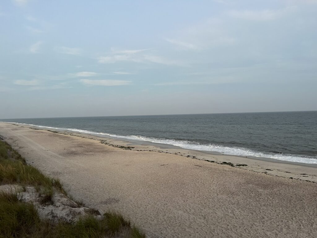 a sandy beach with waves crashing on it (MyCoast AI)