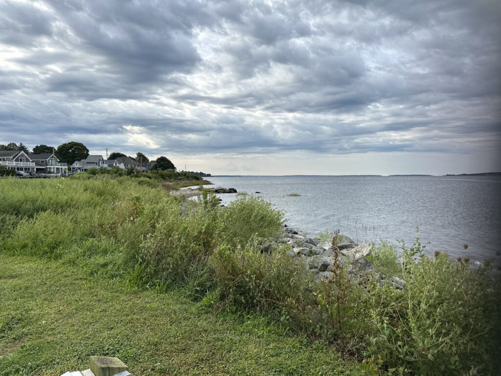 a grassy area next to a body of water (MyCoast AI)