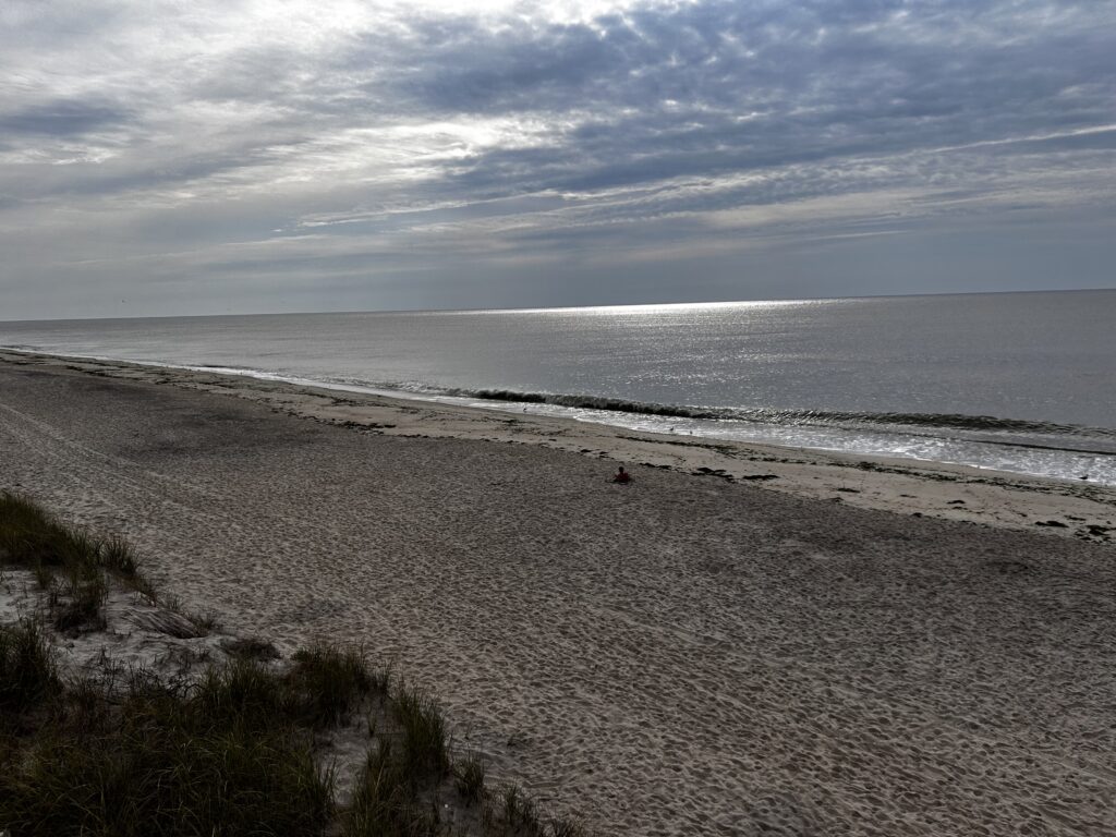 a beach with sand and water (MyCoast AI)