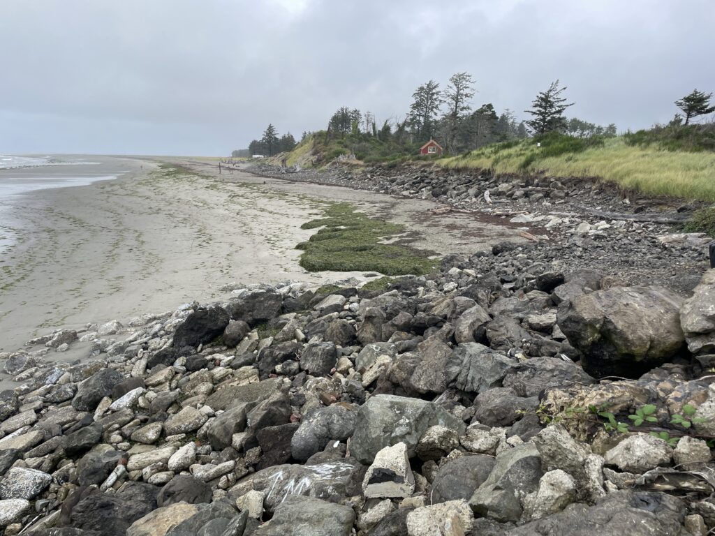 a rocky beach with grass and trees (MyCoast AI)