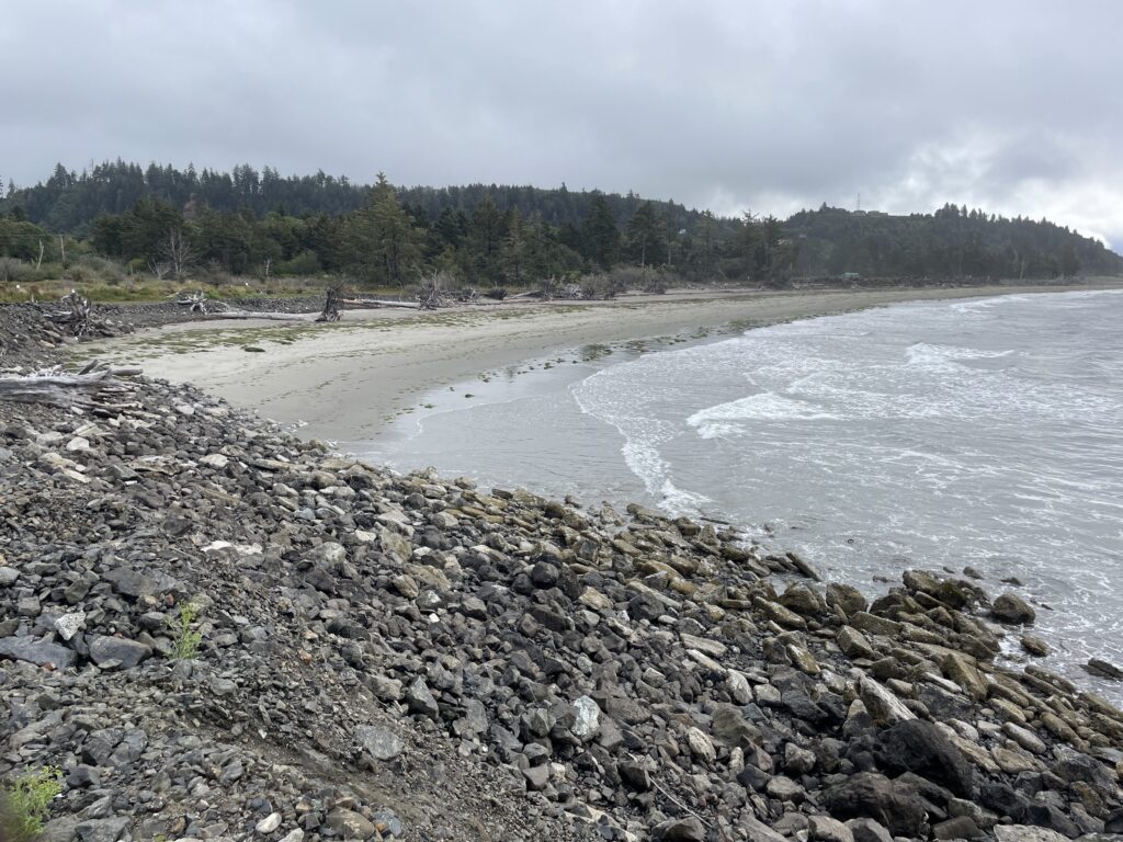 a rocky beach with trees in the background (MyCoast AI)