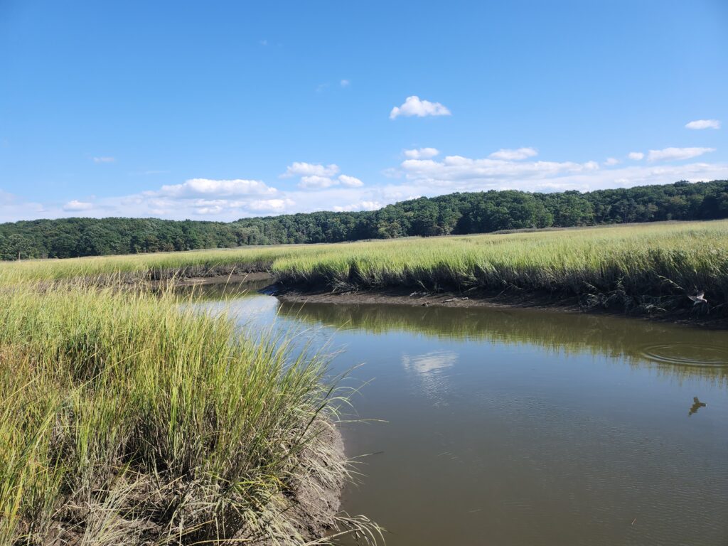 a body of water with grass and trees around it (MyCoast AI)