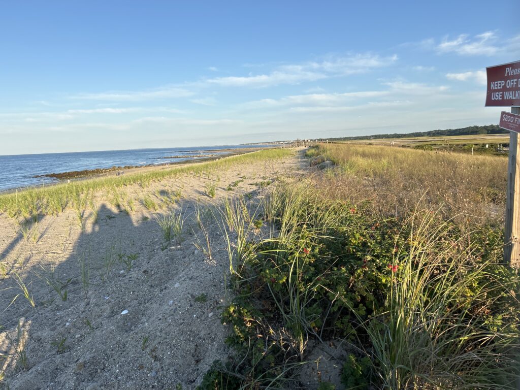 a dirt road next to a beach (MyCoast AI)