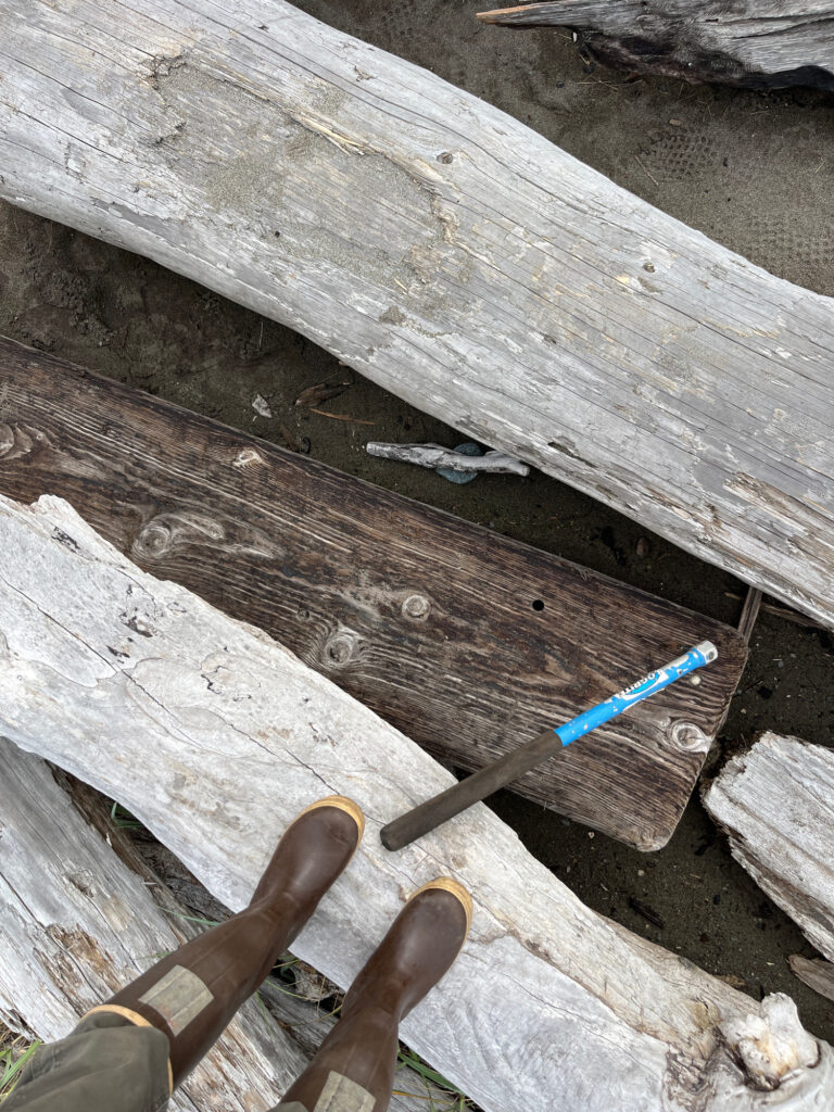 a pair of scissors and a pair of scissors on a wood table (MyCoast AI)