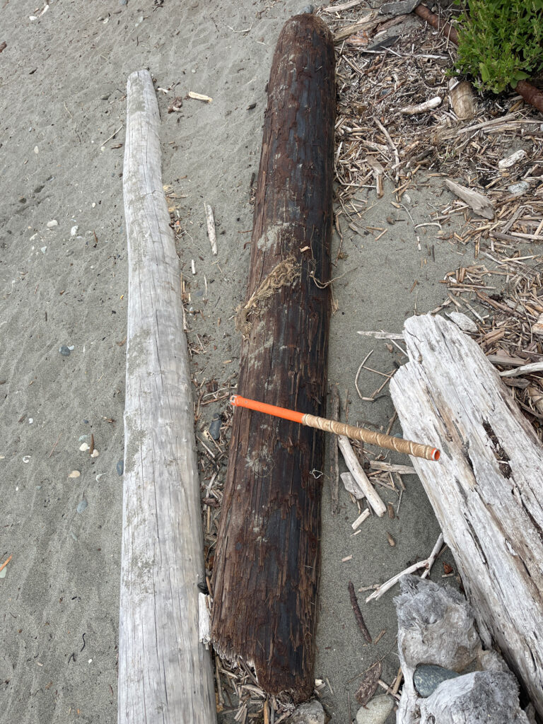 a wooden pole with a stick in it (MyCoast AI)