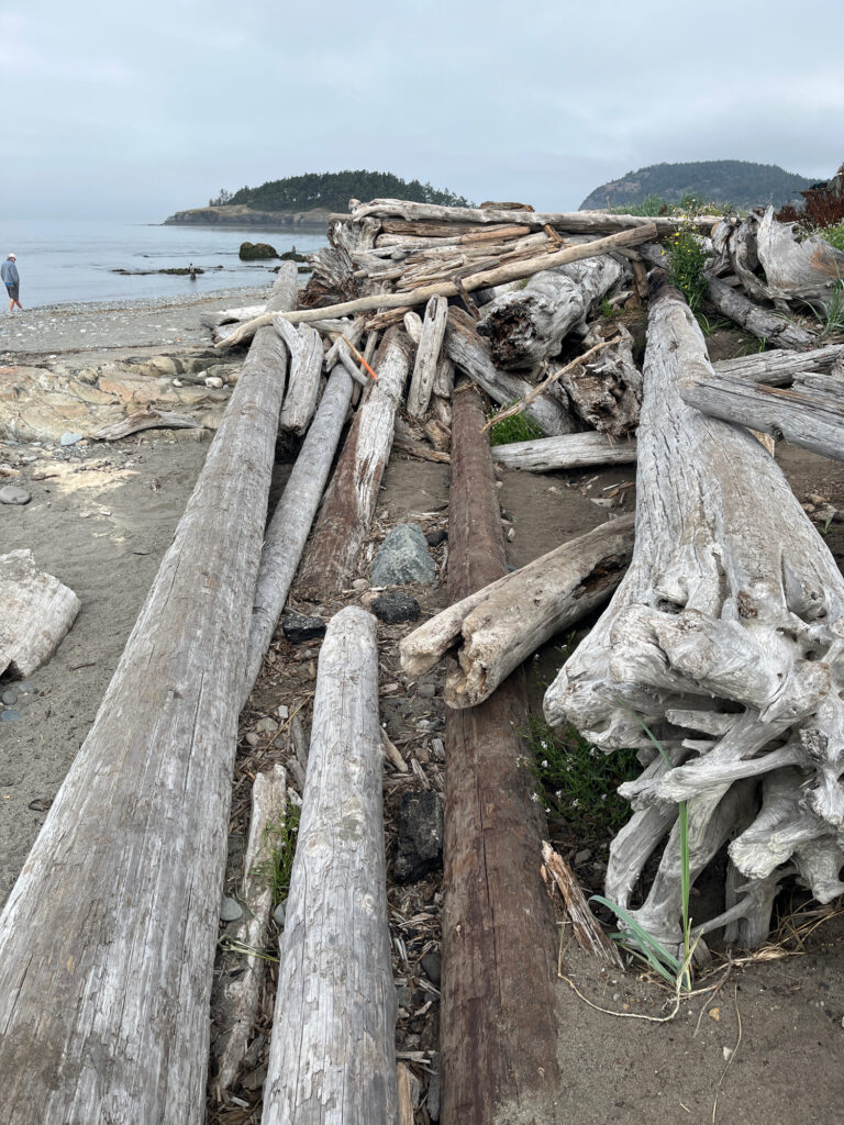 a wooden fence on a beach (MyCoast AI)