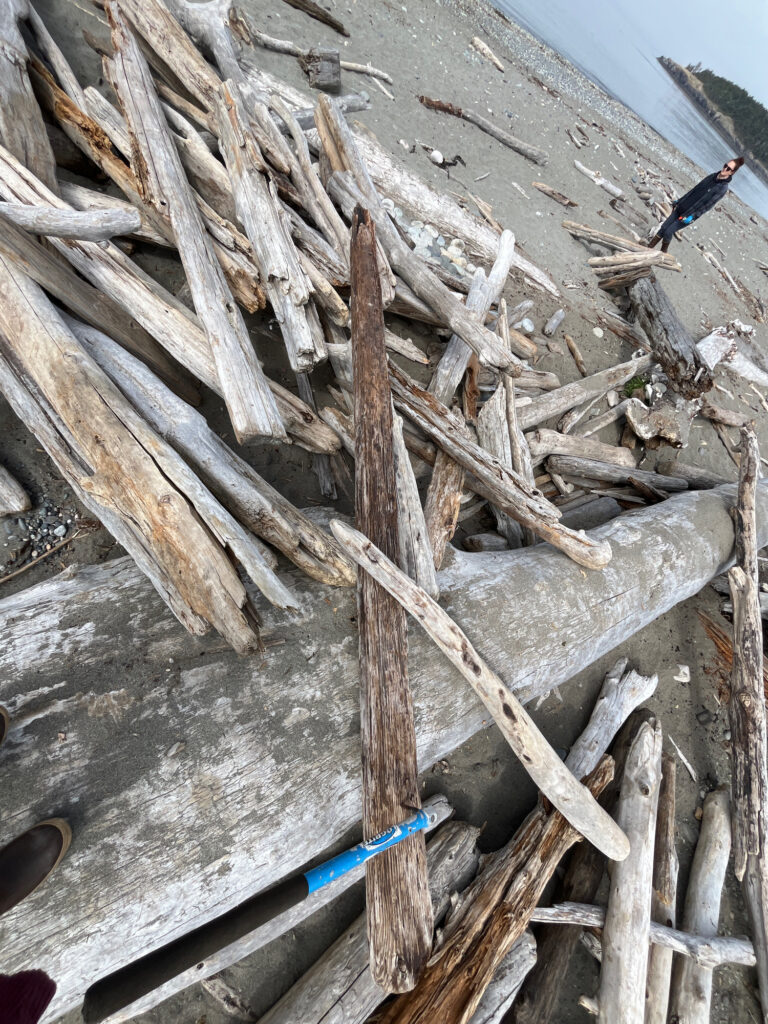 a pile of wood (MyCoast AI)