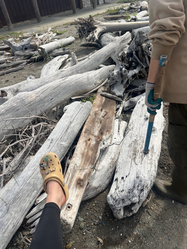 a person holding a saw (MyCoast AI)