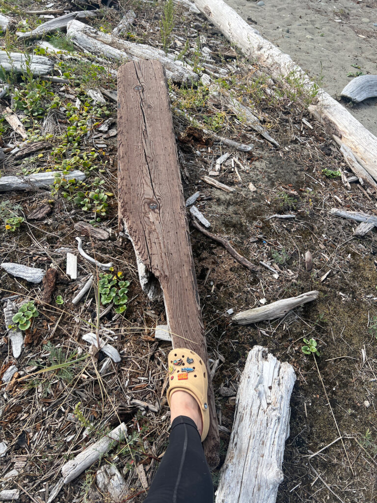 a person's feet on a log (MyCoast AI)