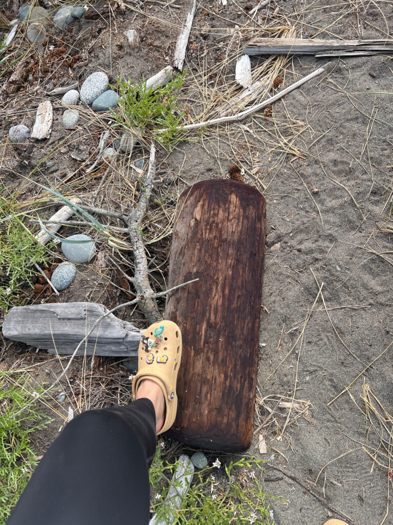 a person's feet in the dirt with a wood object on their feet (MyCoast AI)