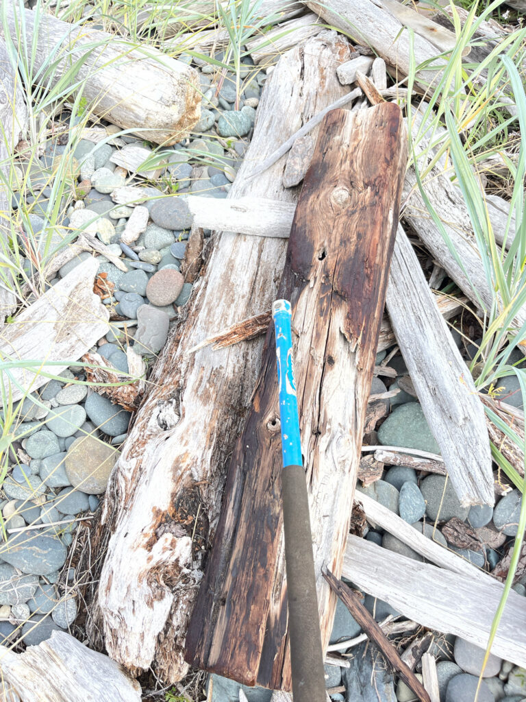 a blue toothbrush on a tree stump (MyCoast AI)