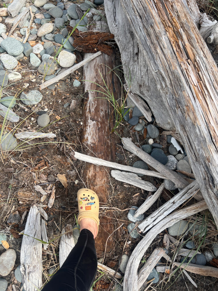 a person's foot on a tree stump (MyCoast AI)