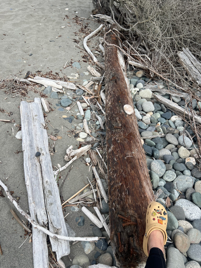 a person's foot on a wooden plank in a rocky area (MyCoast AI)