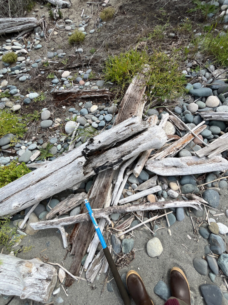 a pile of wood and rocks (MyCoast AI)