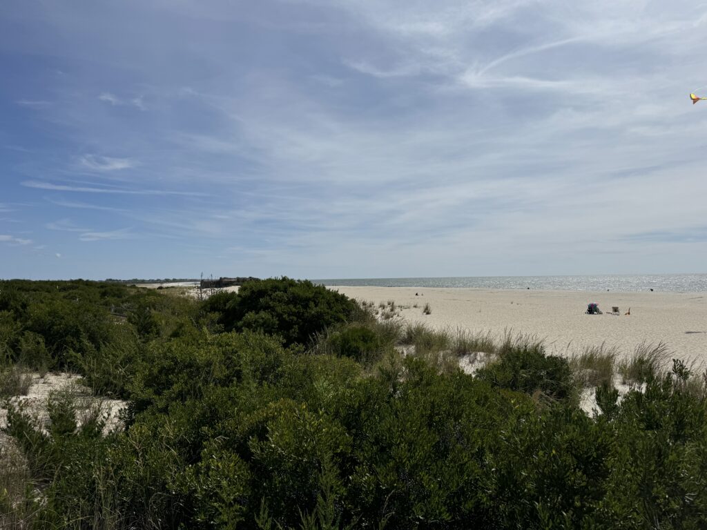 a beach with trees and bushes (MyCoast AI)