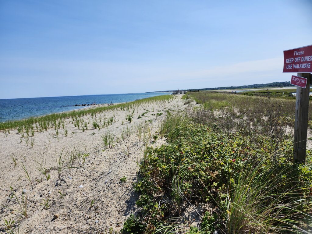 a beach with plants and a sign (MyCoast AI)
