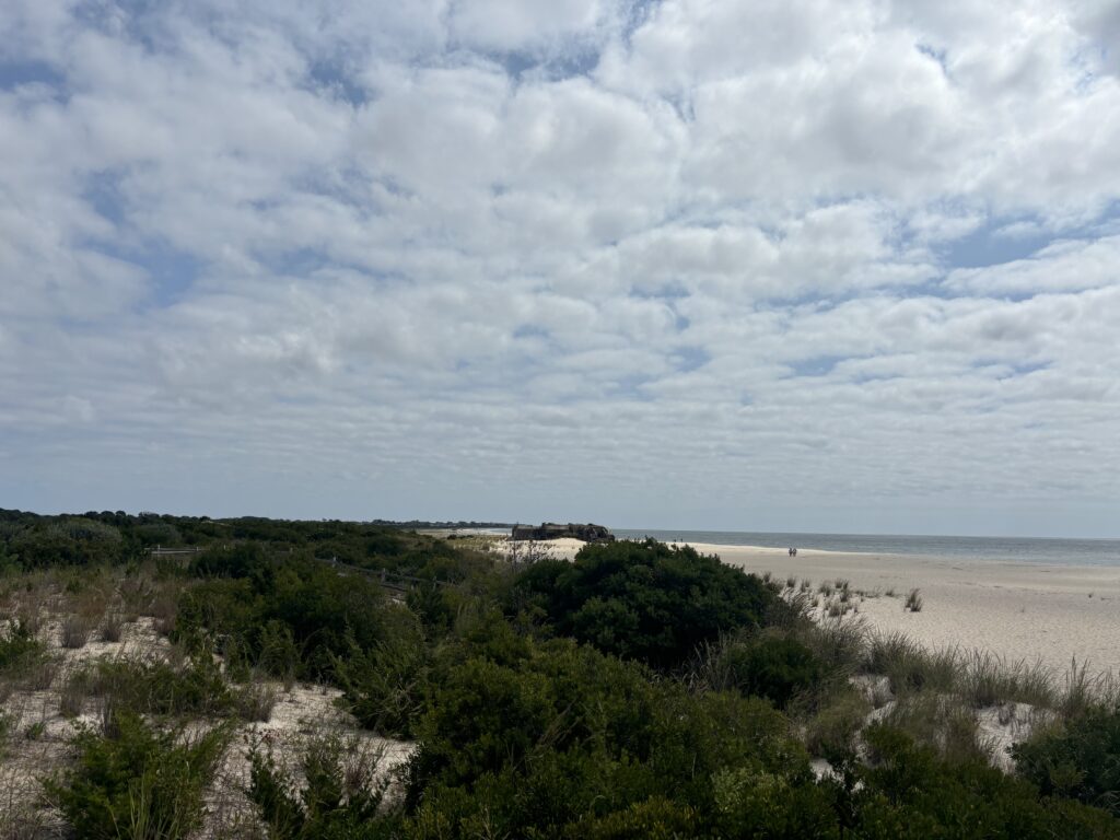 a beach with trees and bushes (MyCoast AI)