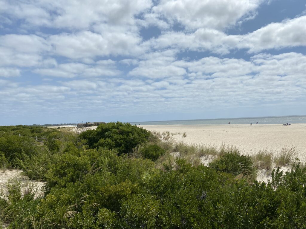 a beach with bushes and trees (MyCoast AI)