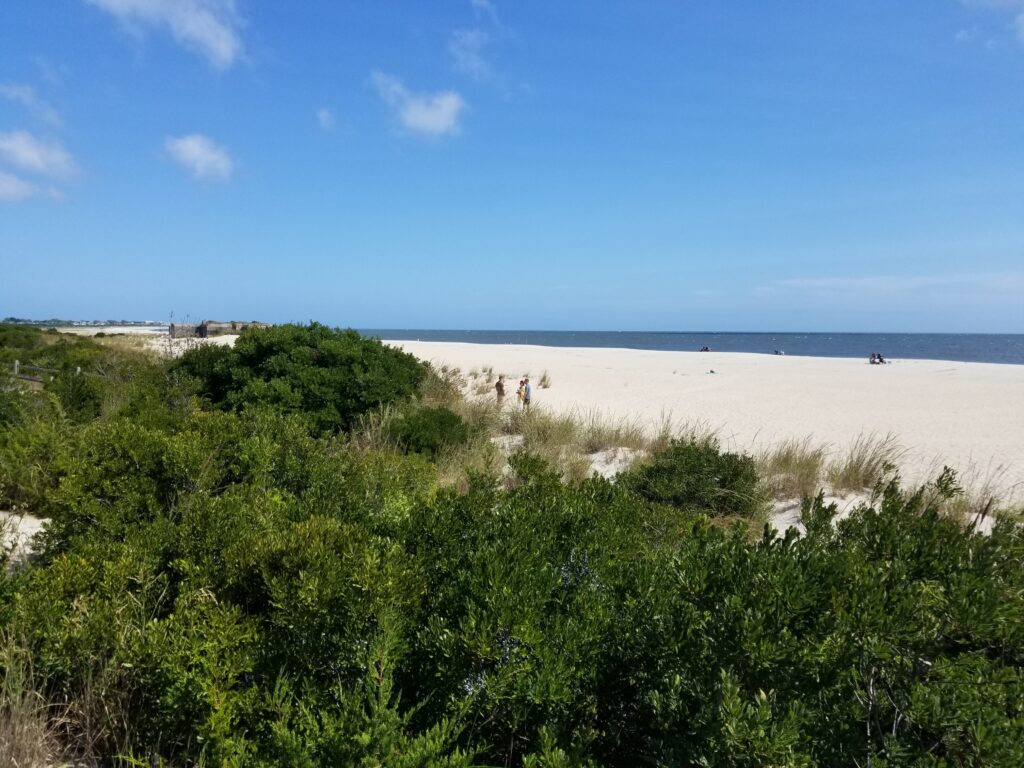 a beach with trees and bushes (MyCoast AI)
