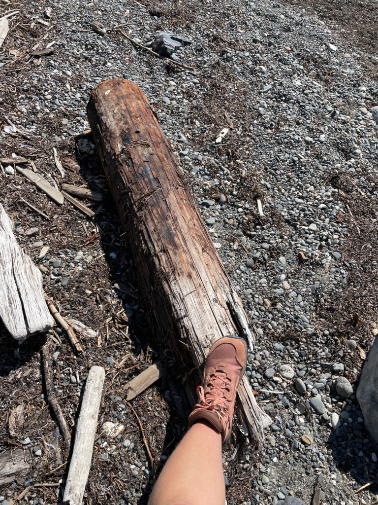 a person holding a log (MyCoast AI)