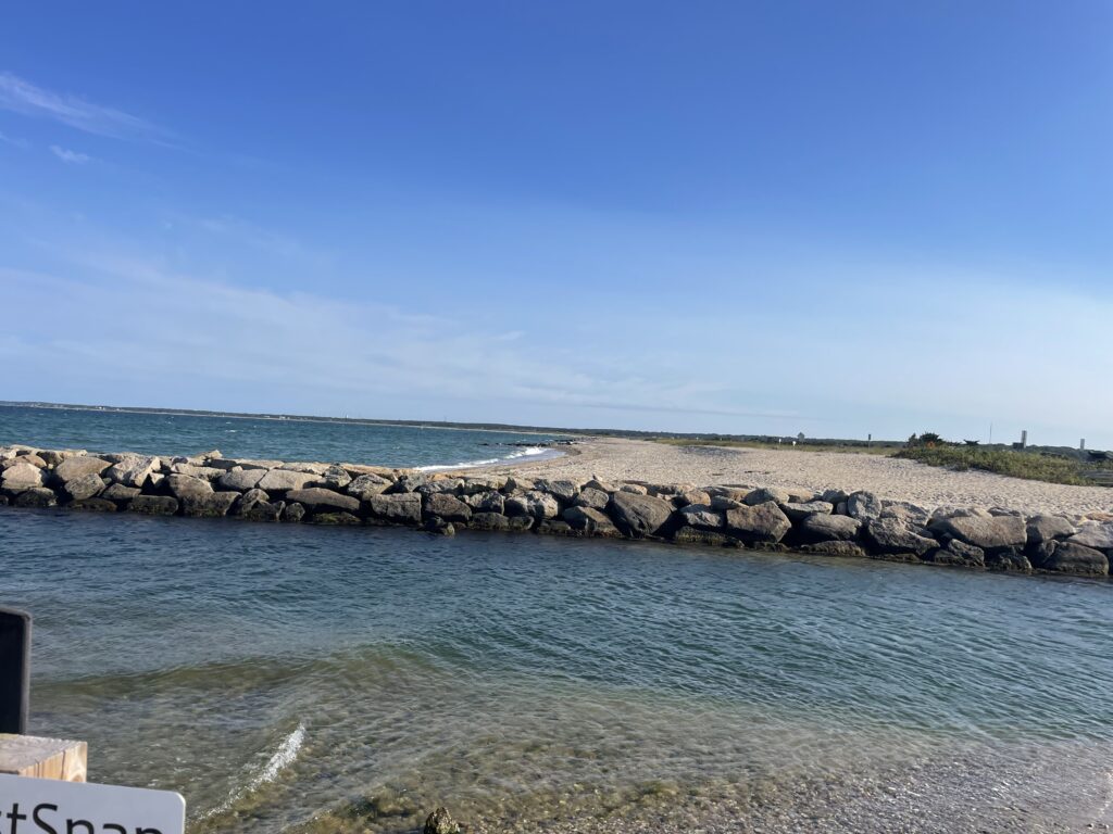 a rocky beach with a body of water in the background (MyCoast AI)