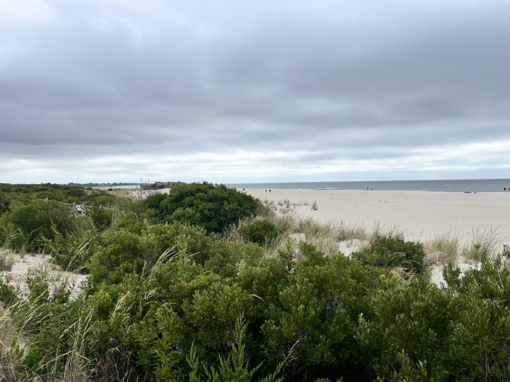 a beach with bushes and trees (MyCoast AI)