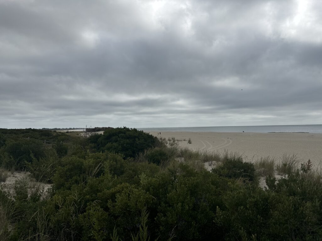 a beach with trees and bushes (MyCoast AI)