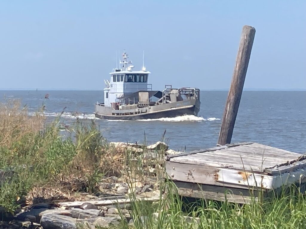 a boat is moving through the water (MyCoast AI)