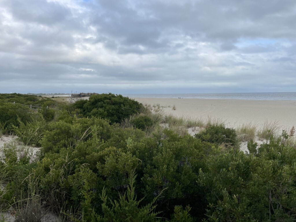 a beach with bushes and trees (MyCoast AI)